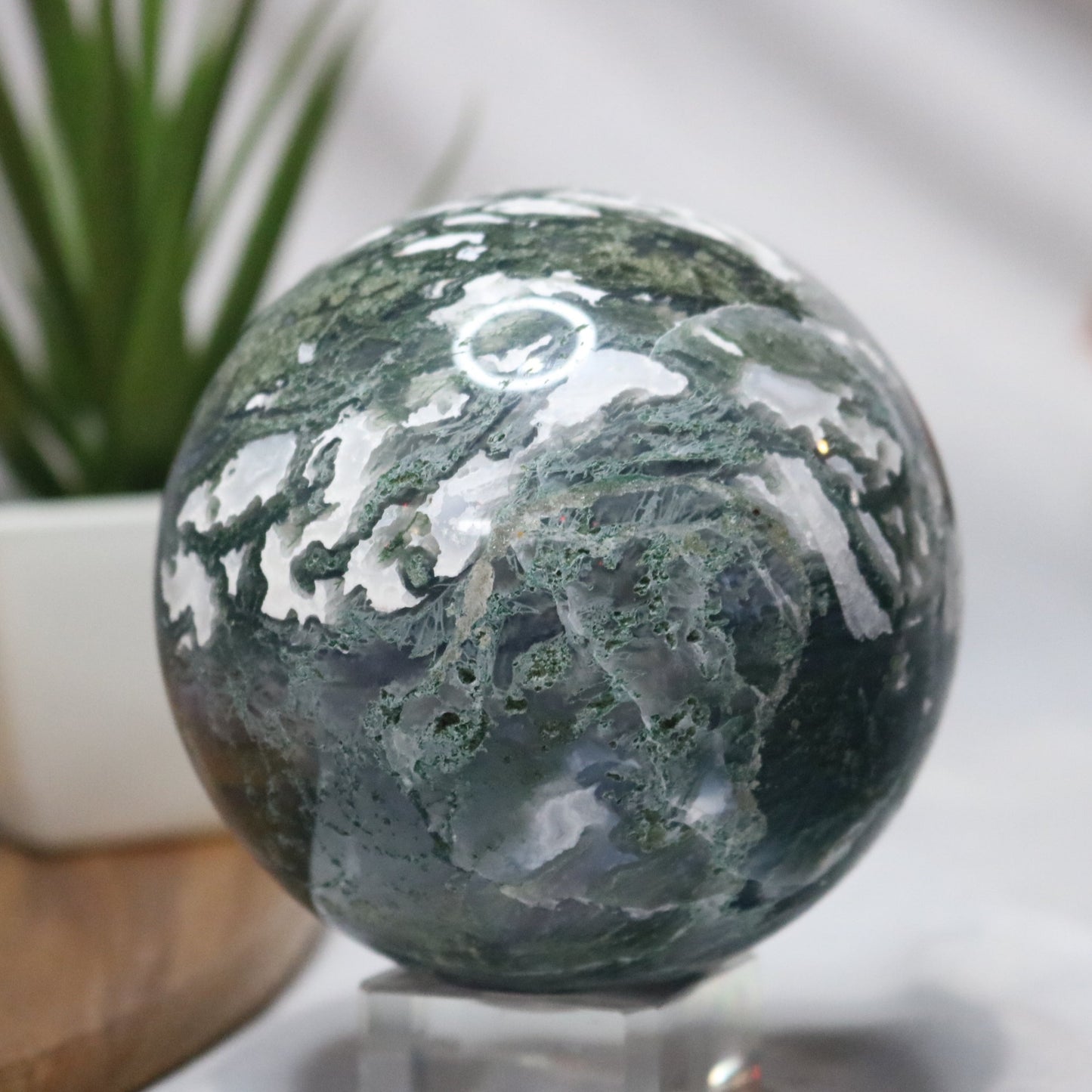 Rainforest Moss Agate Sphere. Rainforest Crystal Ball. Beautiful Moss Agate