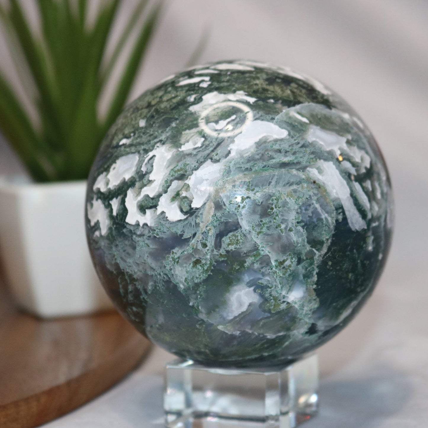 Rainforest Moss Agate Sphere. Rainforest Crystal Ball. Beautiful Moss Agate
