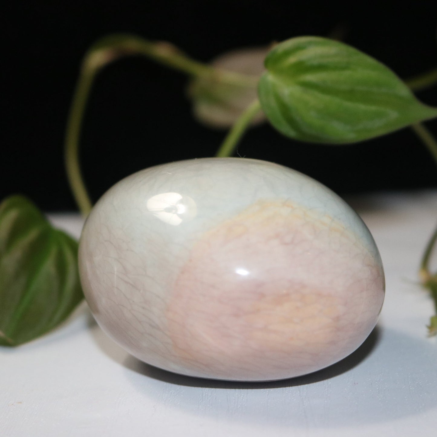 Rare Mermaid Pattern (sea) Jasper
