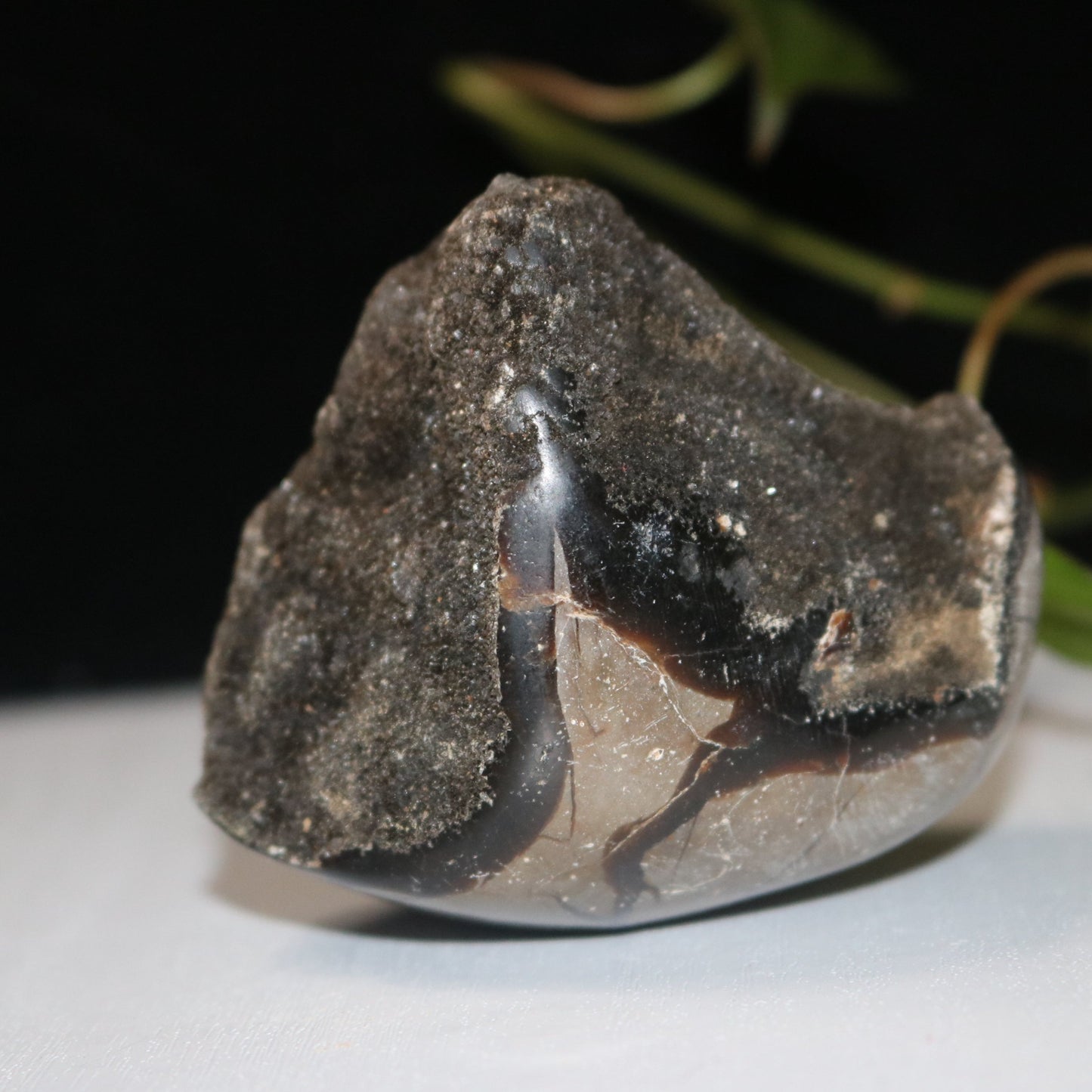 Septarian Dragon Egg Geode