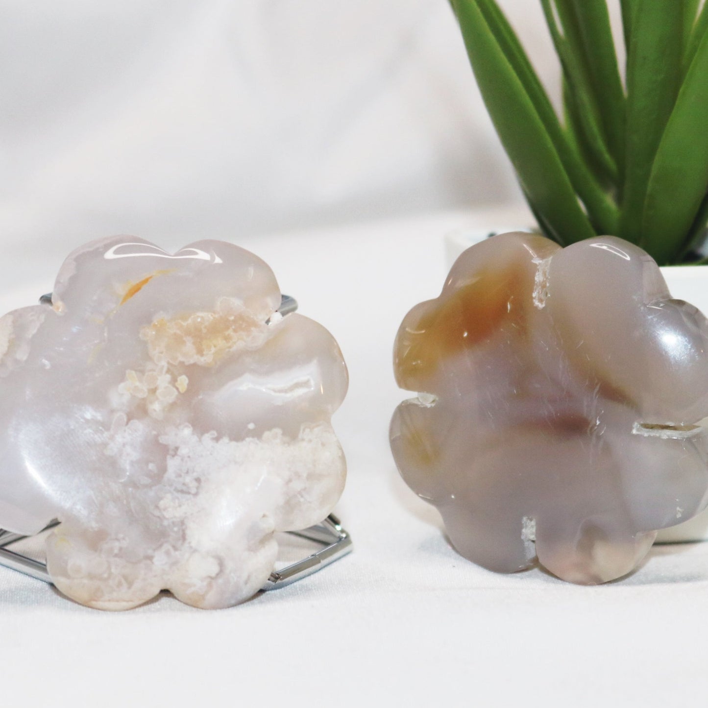 Flower Agate Discs