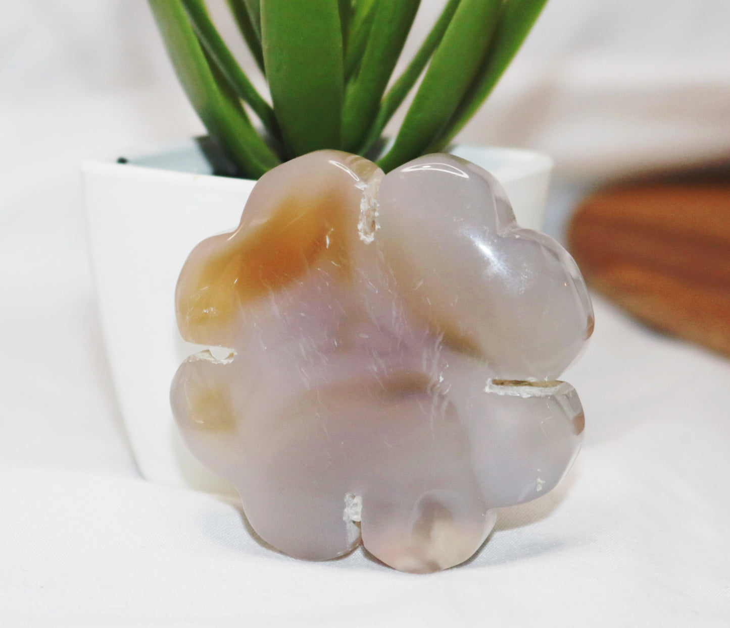 Flower Agate Discs
