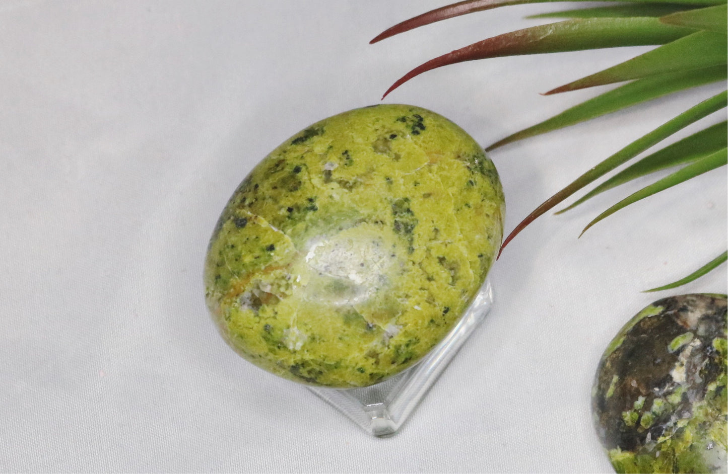 Green Opal Palmstone