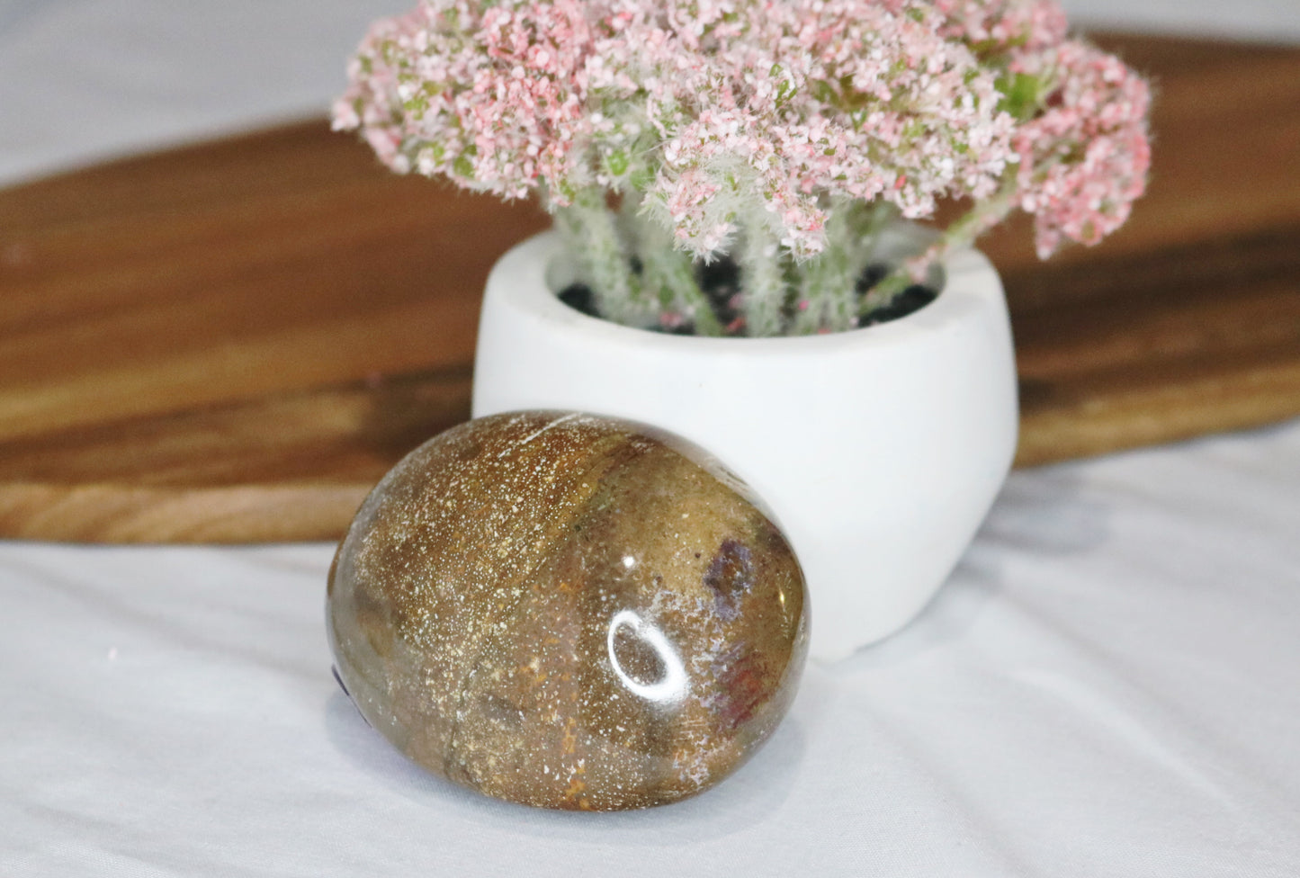 Brown Ocean Jasper Palmstone