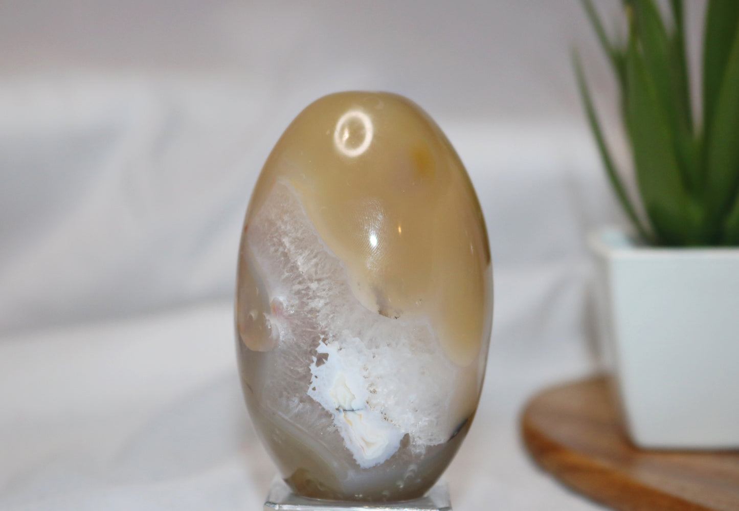 Flower Agate Egg-shape