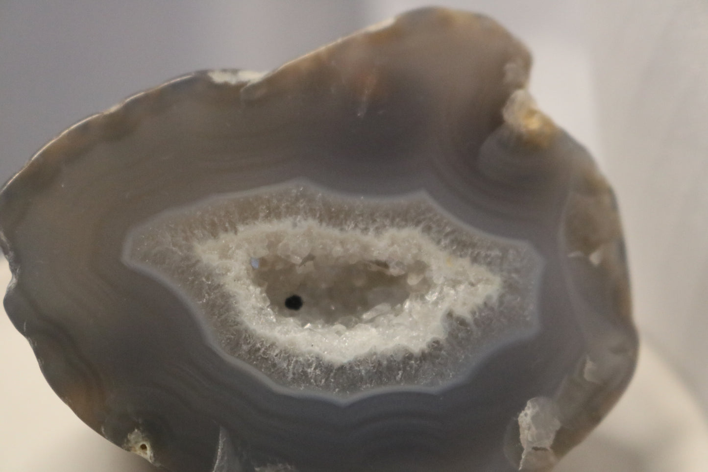 Druzy Orca