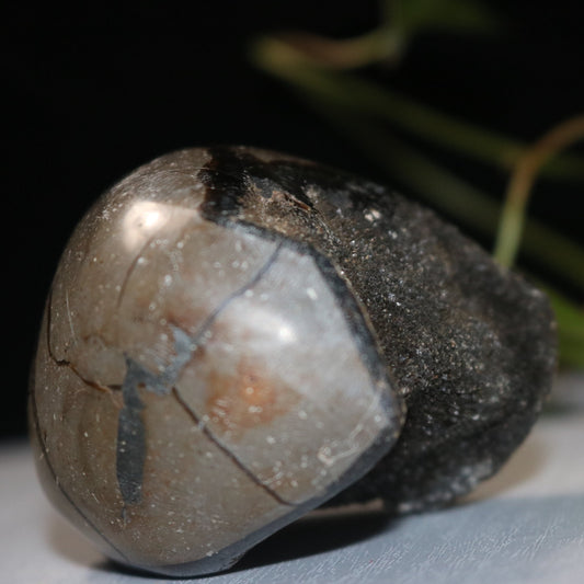 Septarian Dragon Egg Geode