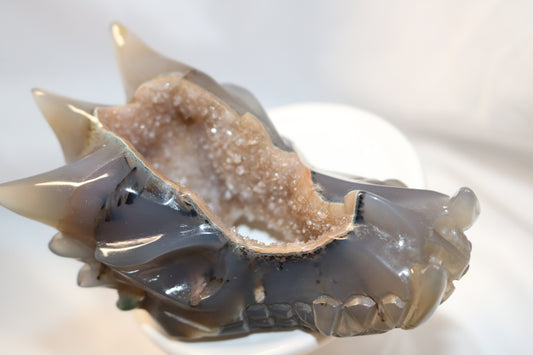 Druzy Dragon Orca Agate Crystal