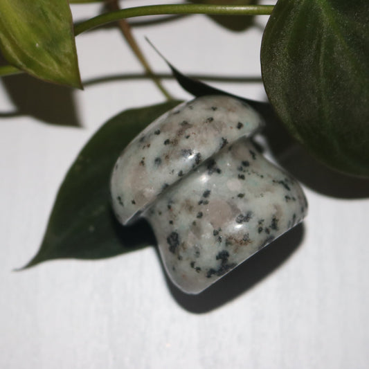 Cute Kiwi Jasper Mushroom