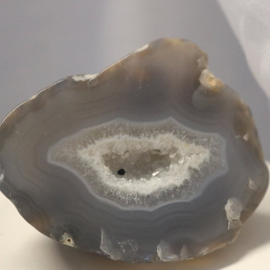 Druzy Orca