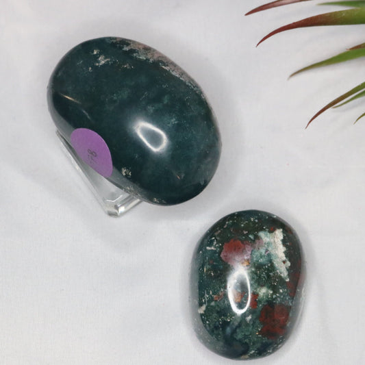 Baja Jasper Palmstone
