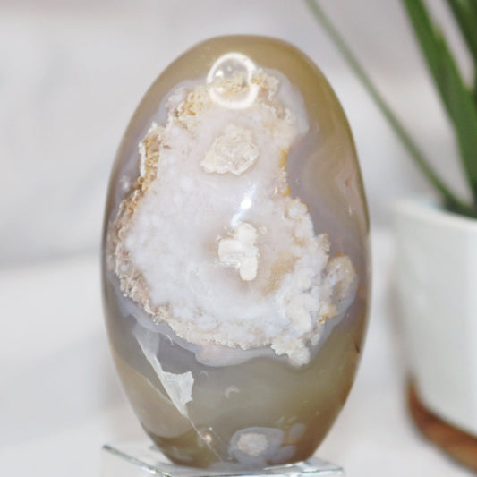 Flower Agate Egg-shape